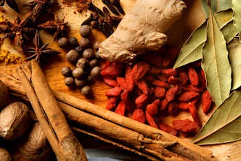 Mary-Jo Bevin: Using Raw Herbs In The Clinic episode artwork