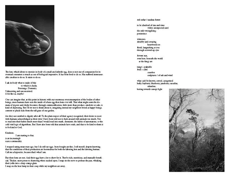 LABOR_OF_LOVE_WORKING_DOCUMENT17.jpg