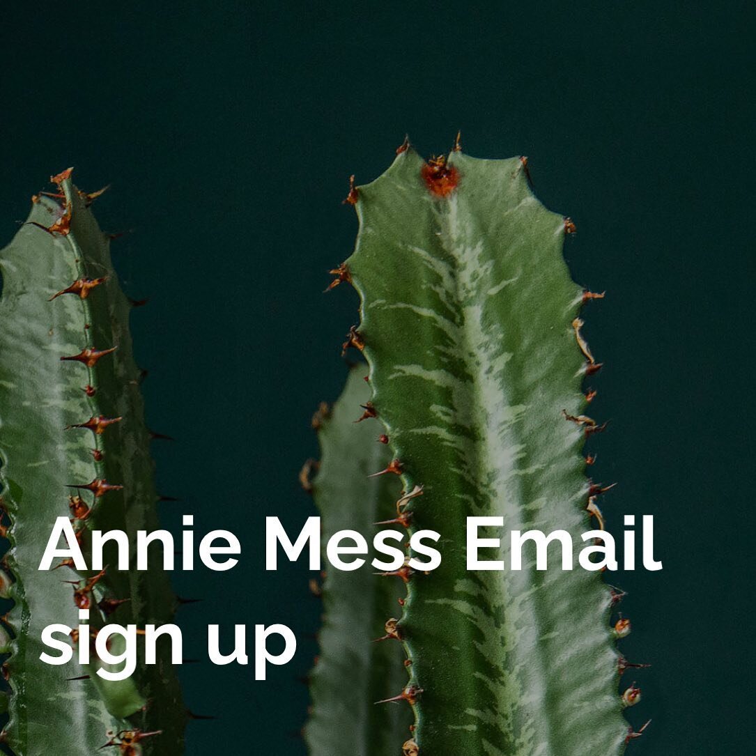 I finally have an email sign up! Now you will be notified by email when my books open up! ✨ go to anniemess.com and click the  contact page to subscribe! We will also be emailing for cancelation spots too ✨