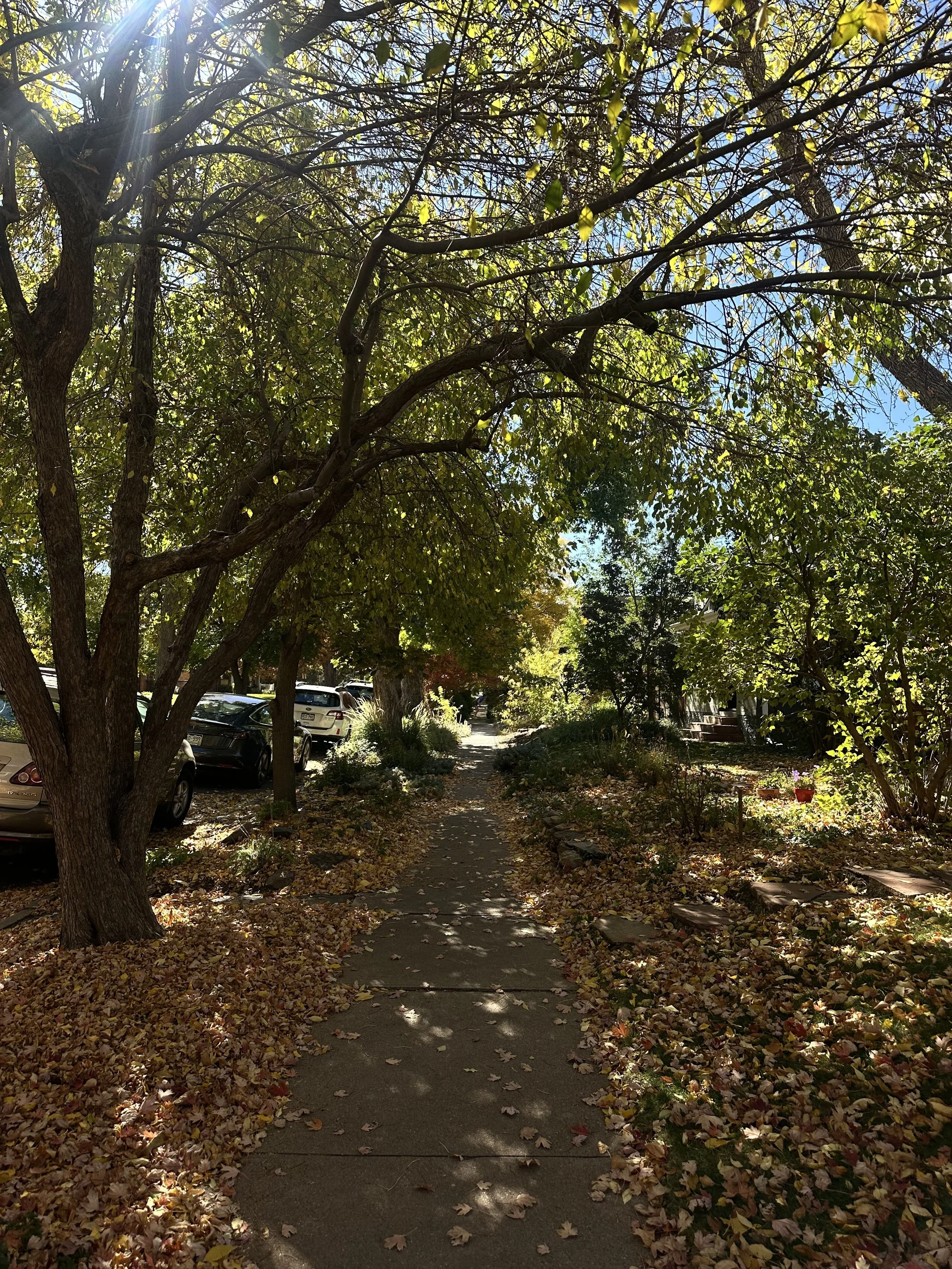 The Art of Falling to Rise 