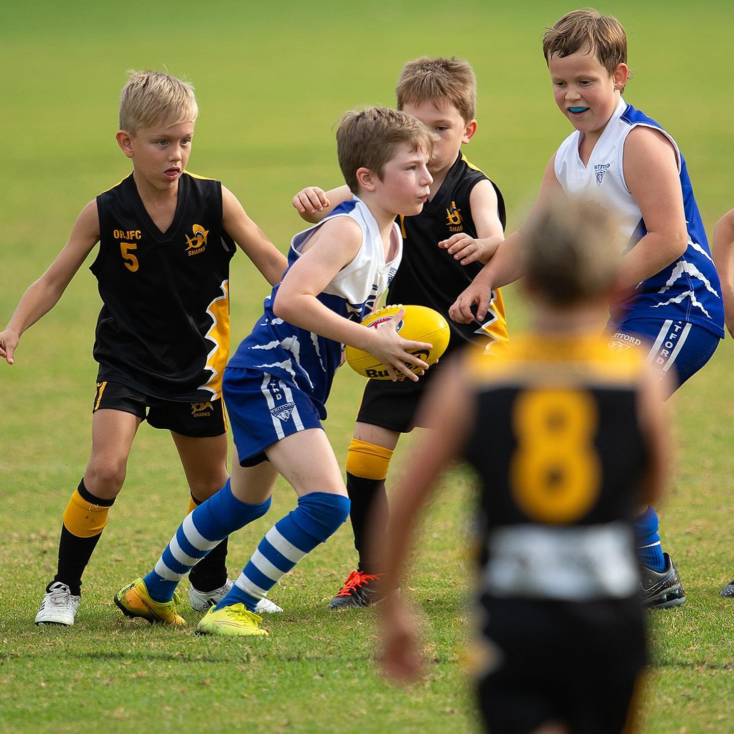 We hope your week is as successful as Andy from our Y3 Lynx escaping the congestion and clearing the ball forward towards goal!

Photo: @maxted 

#wjfc_wildcats #wafooty #wajuniorfooty #6025community