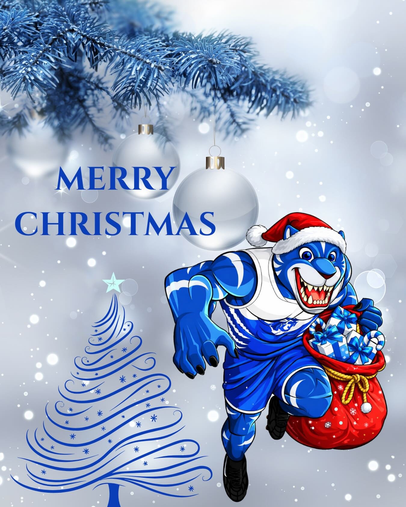 Merry Christmas Wildcats 🎄
Thank you to our players, families, volunteers and supporters for another incredible year.
Enjoy the break, look out for one another, stay safe and we can&rsquo;t wait to see you all back in 2026 💙🤍