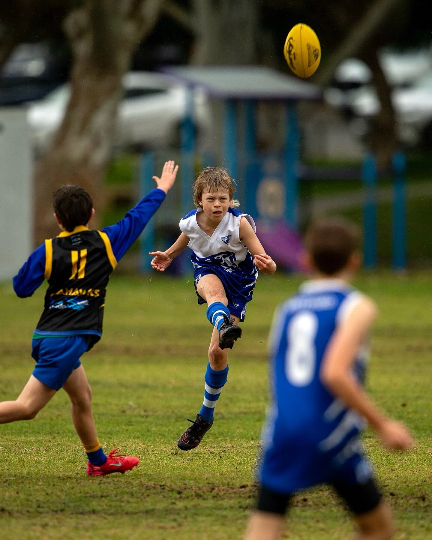 Not long now until cool mornings and wet weather footy are back!!! Bring it On!!!!

Photo: @maxted 

#wjfc_wildcats