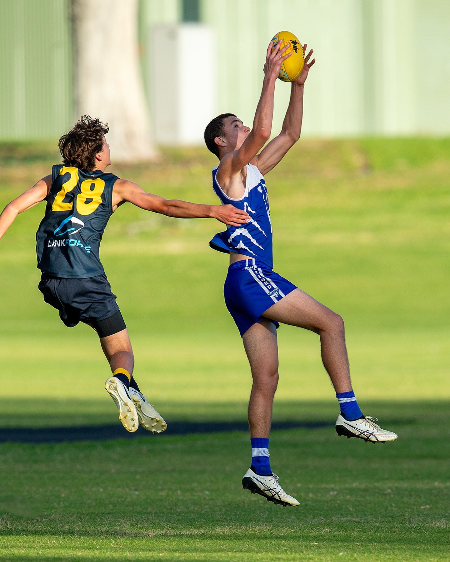 Rock Solid&hellip; not long now!

📷 @maxted 

#wjfc_wildcats