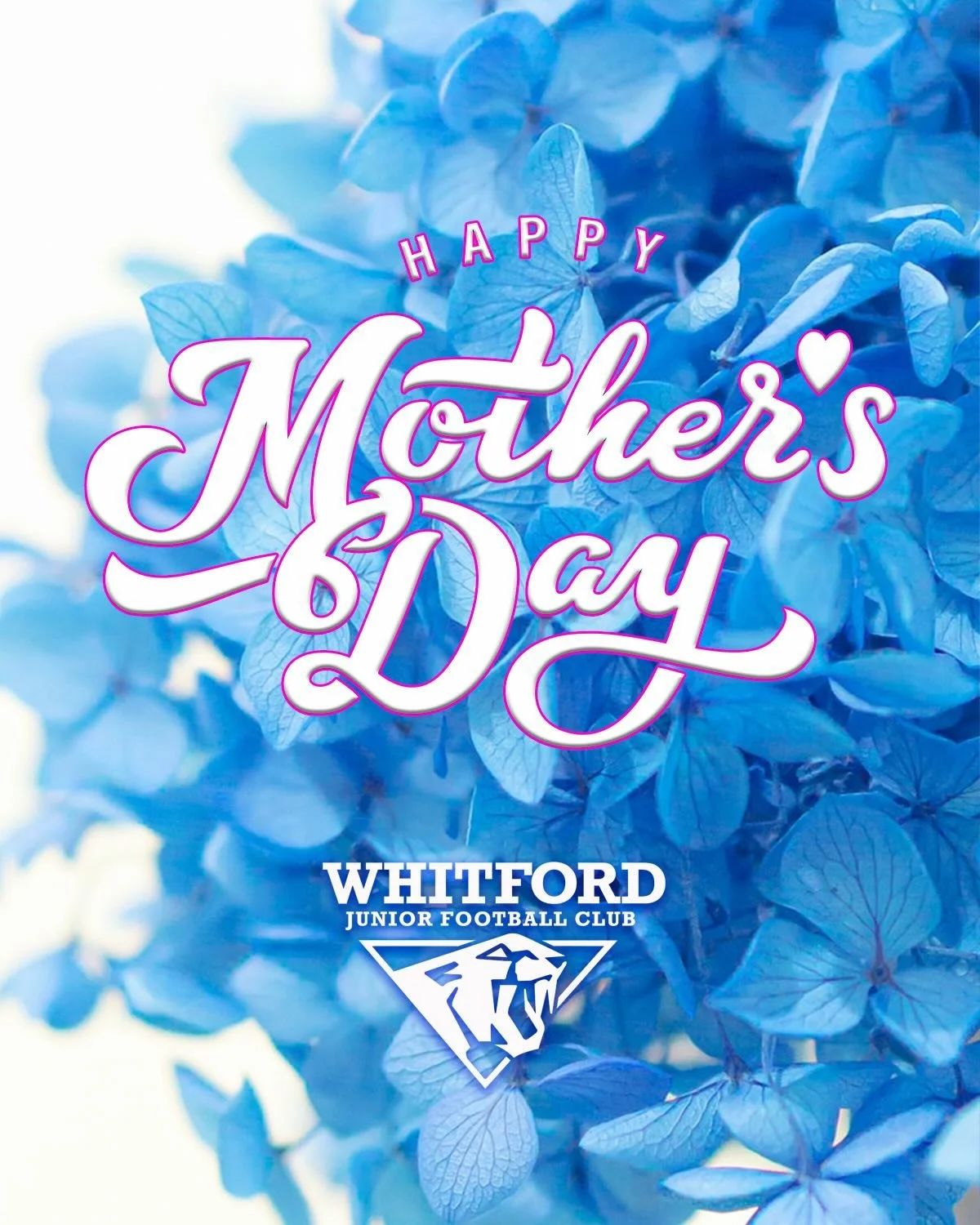 To the beautiful, passionate, loving, caring, cheering, nurturing and supportive women who run our entire football club with the help of a couple of blokes&hellip; we salute you!
Mothers are the lifeline of junior footy and it simply would not happen