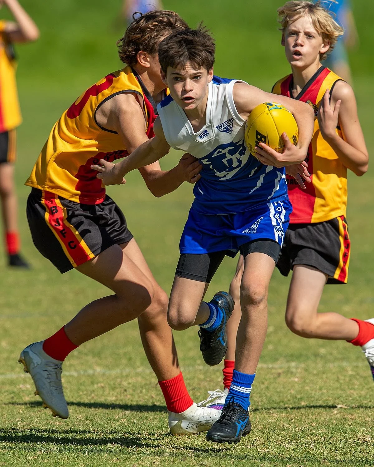 A couple of frames from around MacDonald Park yesterday. Plenty more to follow&hellip;

Photos: Flynn &amp; Mike @maxted 

#wjfc_wildcats