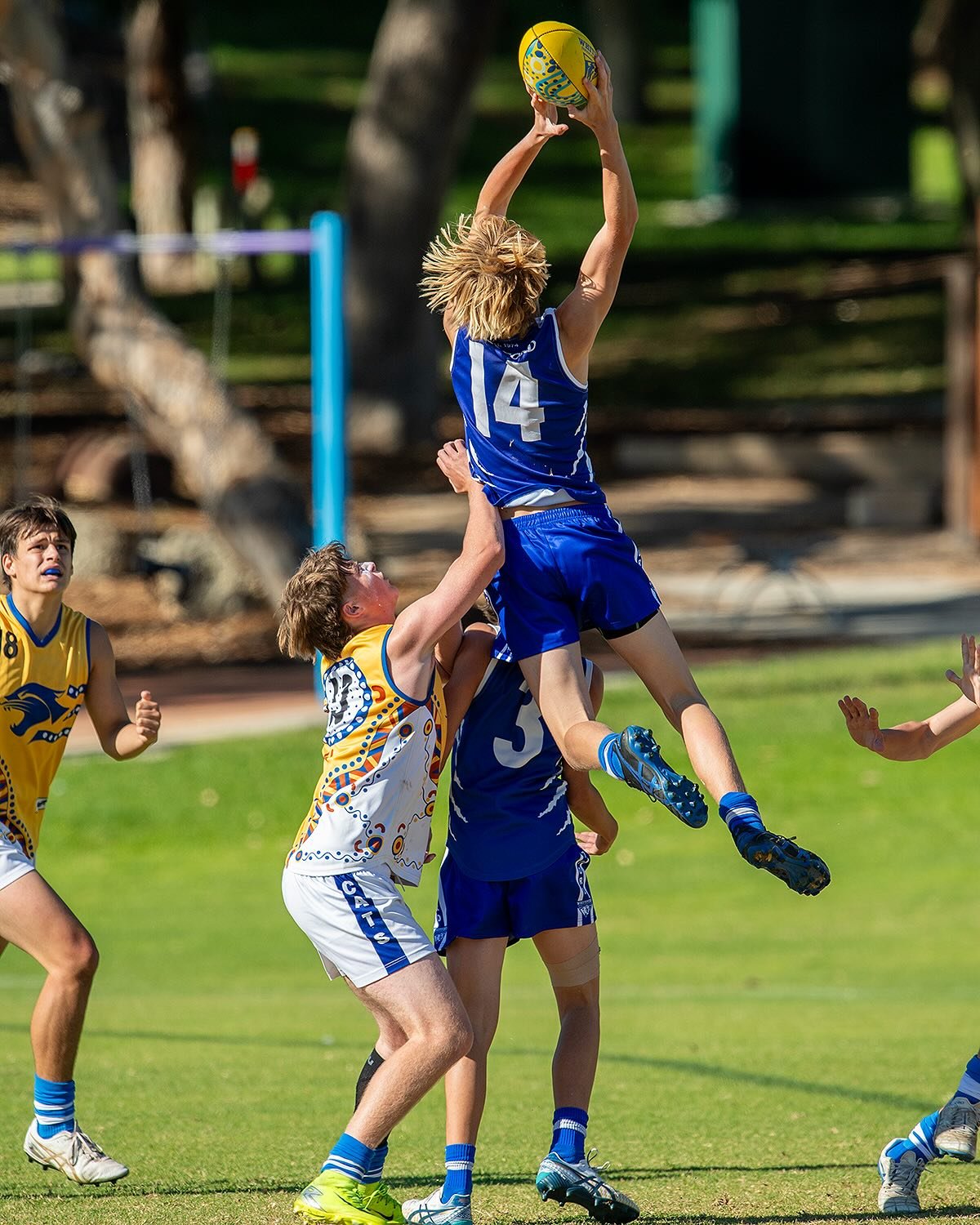 Mad Hops, Mad Grab!

Photos: @maxted

#wjfc_wildcats