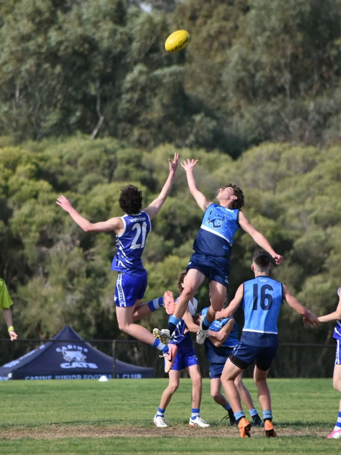 A couple of weeks back, our Y9 Tigers came out in the 4th quarter with no bench to secure the win over Carine.

Photos: Kristell Williams.

#wjfc_wildcats