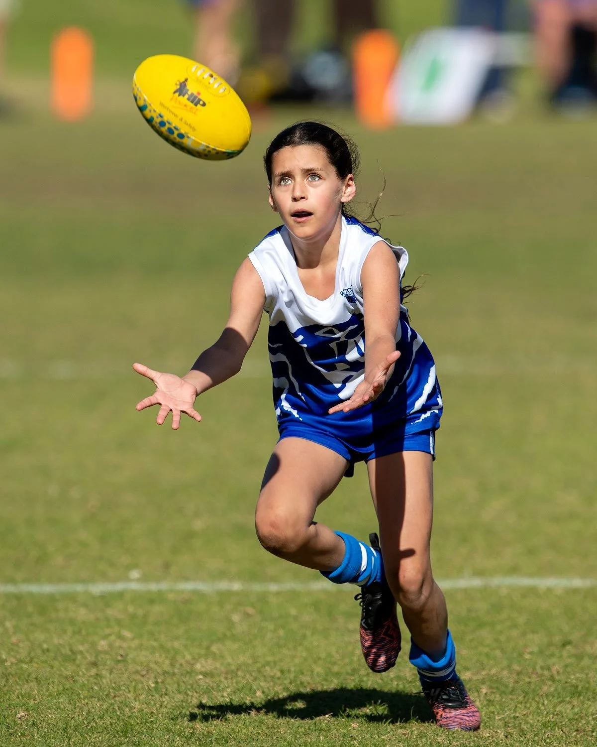 Eyes on it this weekend at MacDonald Oval&hellip;

Photos: @maxted / @infocusagencies 

#wjfc_wildcats