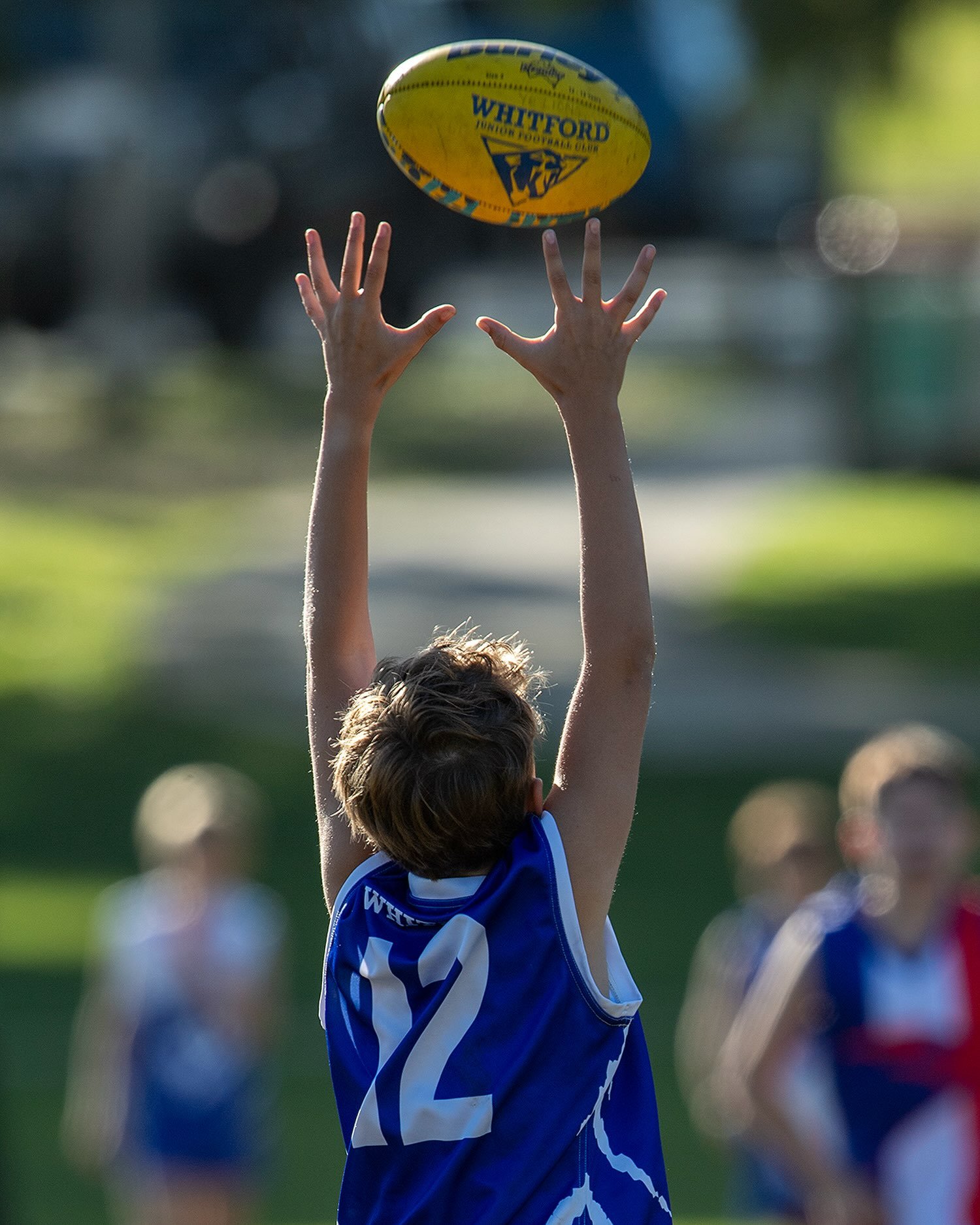 The season has come to an end for some but for others, a premiership is still within grasp.
We will see some of you this weekend for the Family Fun Day, but we urge everyone to get out and about and support our teams who have qualified for finals ove