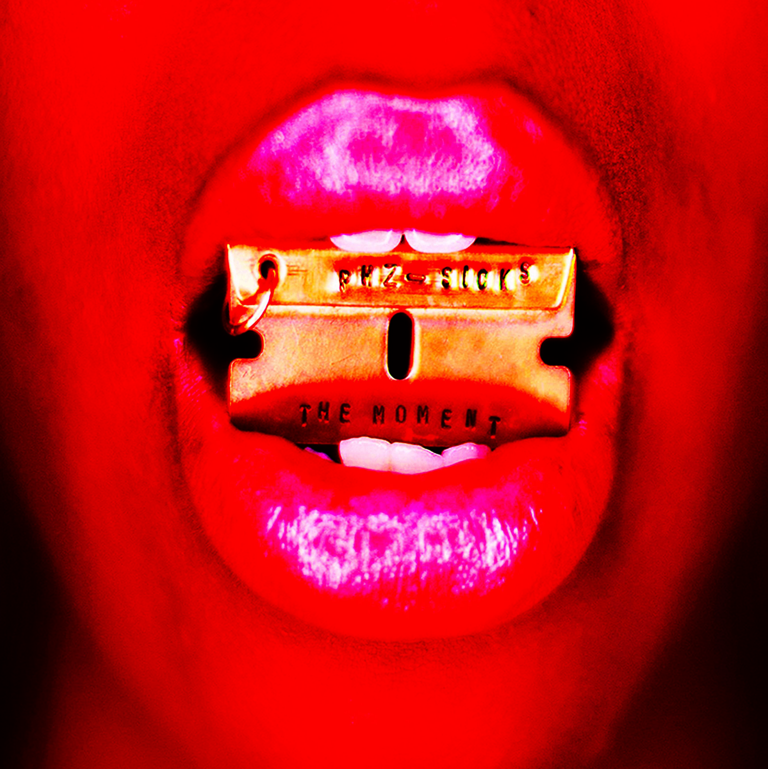 PHZ-Sicks - The Moment II A Good Day vinyl (signed)