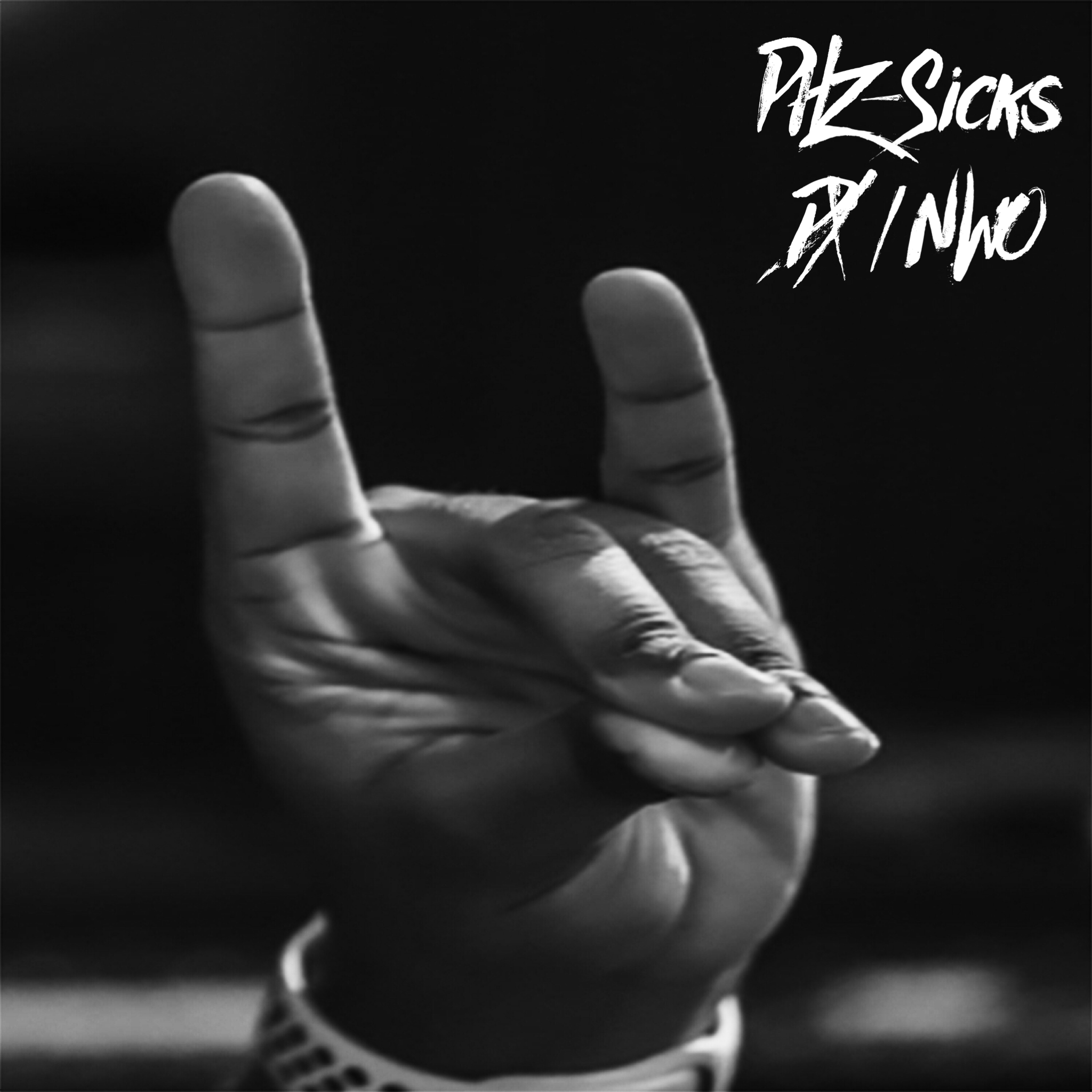 PHZ-Sicks - DX/NWO (Single)