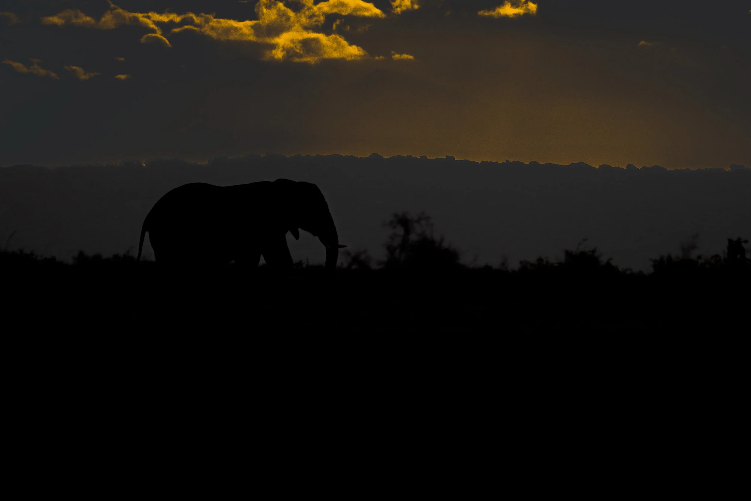  Sunset at Addo Elephant National Park 