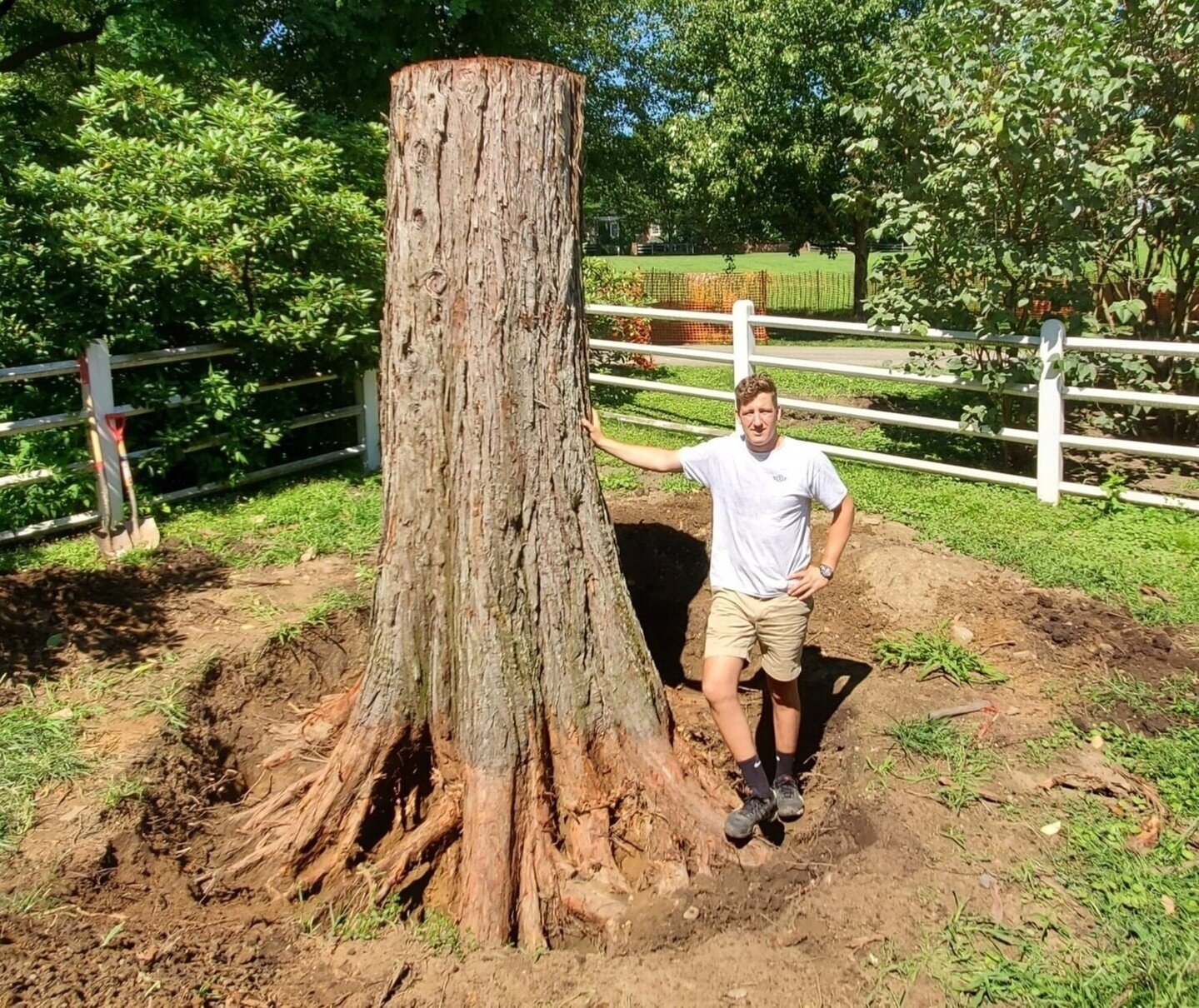 Andre is going back to his roots!⁠
⁠
#urbansalvage #massivetrees #timber #tablescapes #table #slabs #hardwood #reclaimed #diy #localsalvage #lumber #bigtree #woodworking #customfurniture #hardwoodfurniture