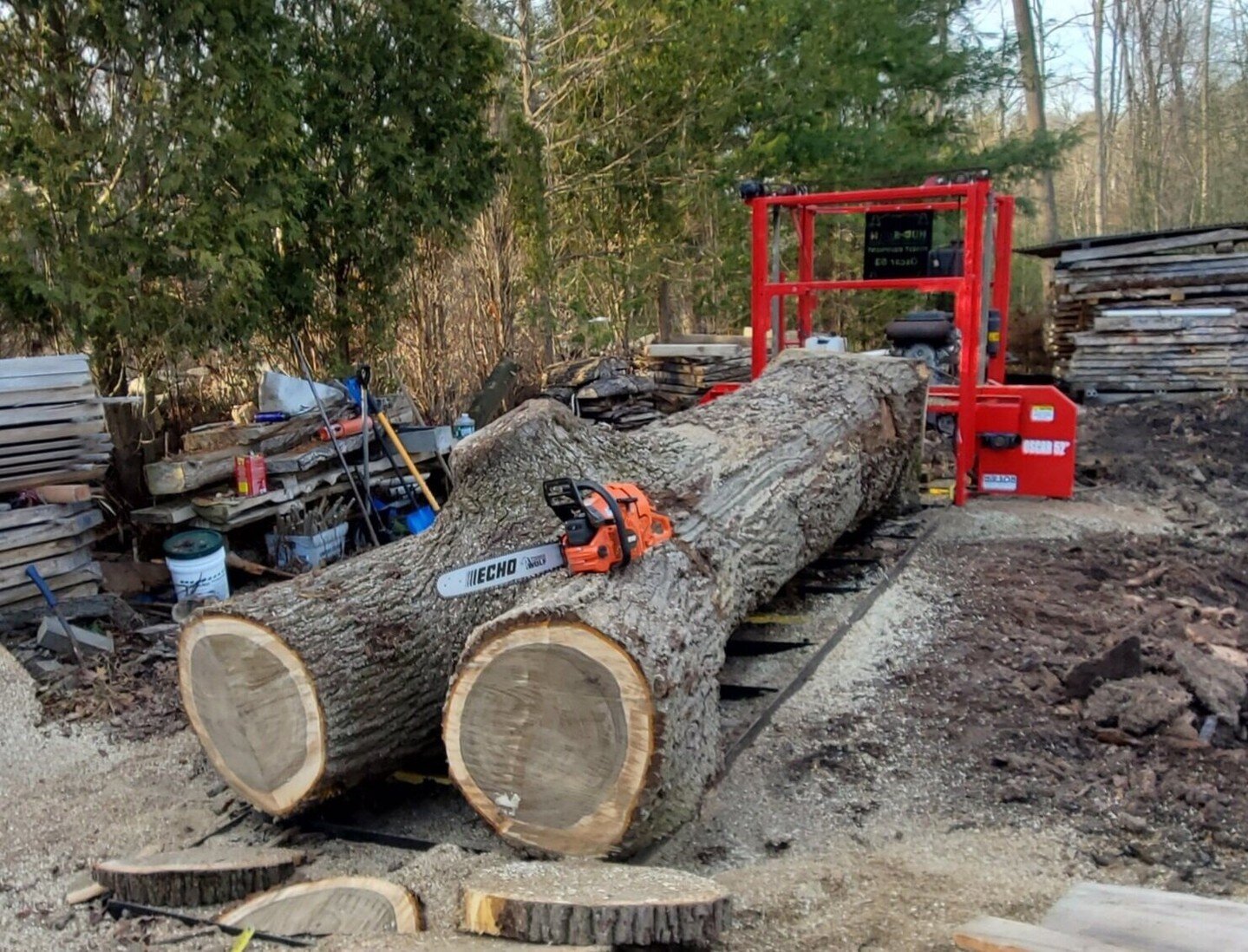 Behind the Scenes: This is where our custom furniture projects begin! Stay tuned to see what we create from this tree.⁠
⁠
#urbansalvage #massivetrees #timber #tablescapes #table #slabs #hardwood #reclaimed #diy #localsalvage #lumber #bigtree #woodwor