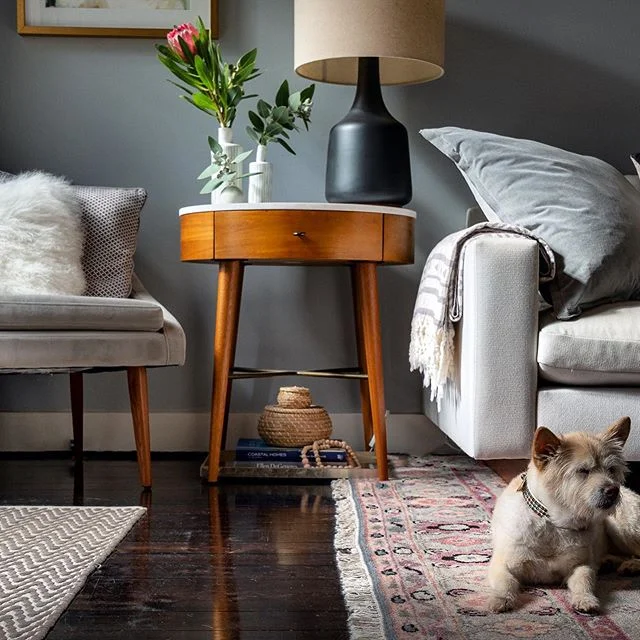 Homes and Dogs 😍 as good as it gets.  #dogsofinstagram #lovespacephotography #sydneyinteriors #sydneyrealestate #amazing #dogsofinsta #interiordesign #homestyling #design #petfriendly #sydneypropertystyling #followme