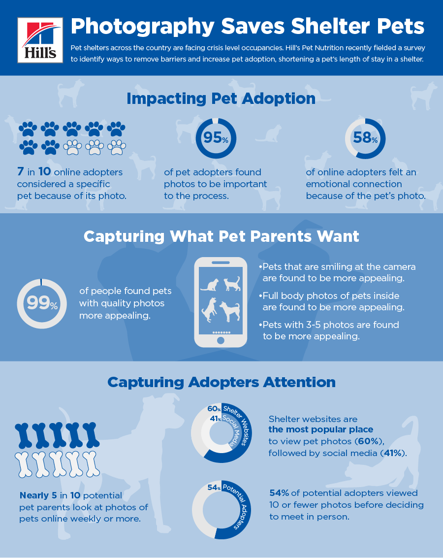 Infographic