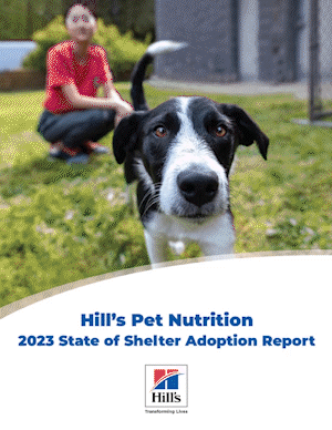 Shelter report.gif