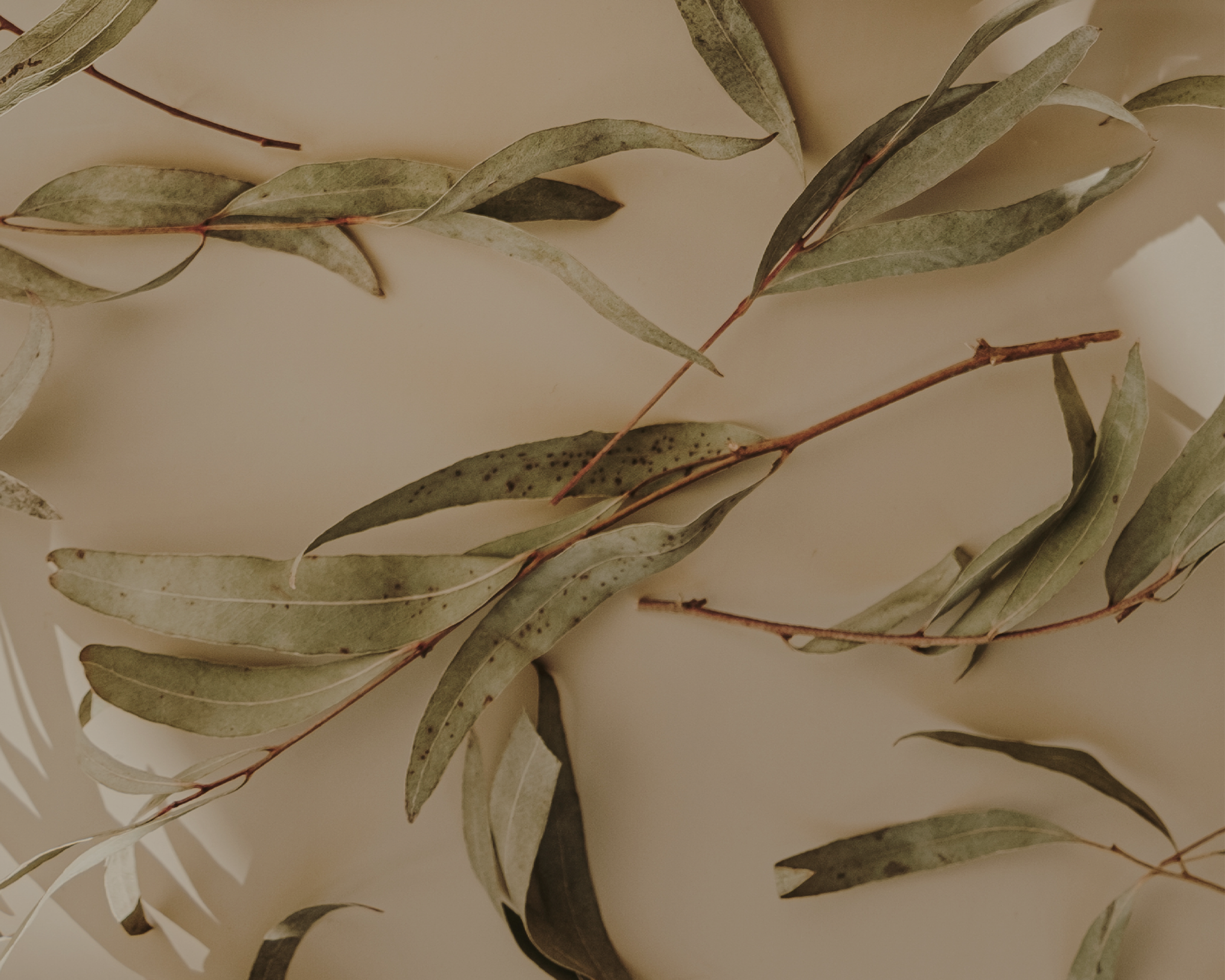 2024 - Website Landing Page Background Image.png