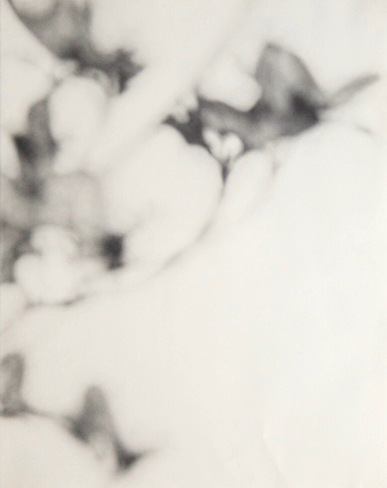 GraceDines_2019_09_Graphite Botanical_129.jpg