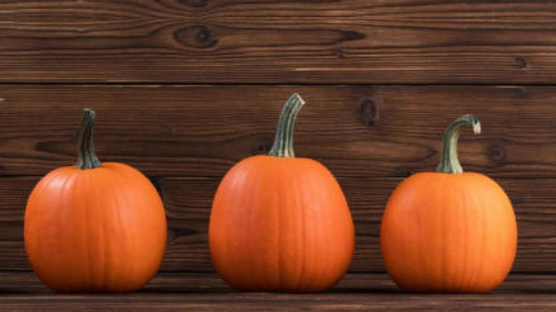 Youth & Children's Event - Pumpkin Carving