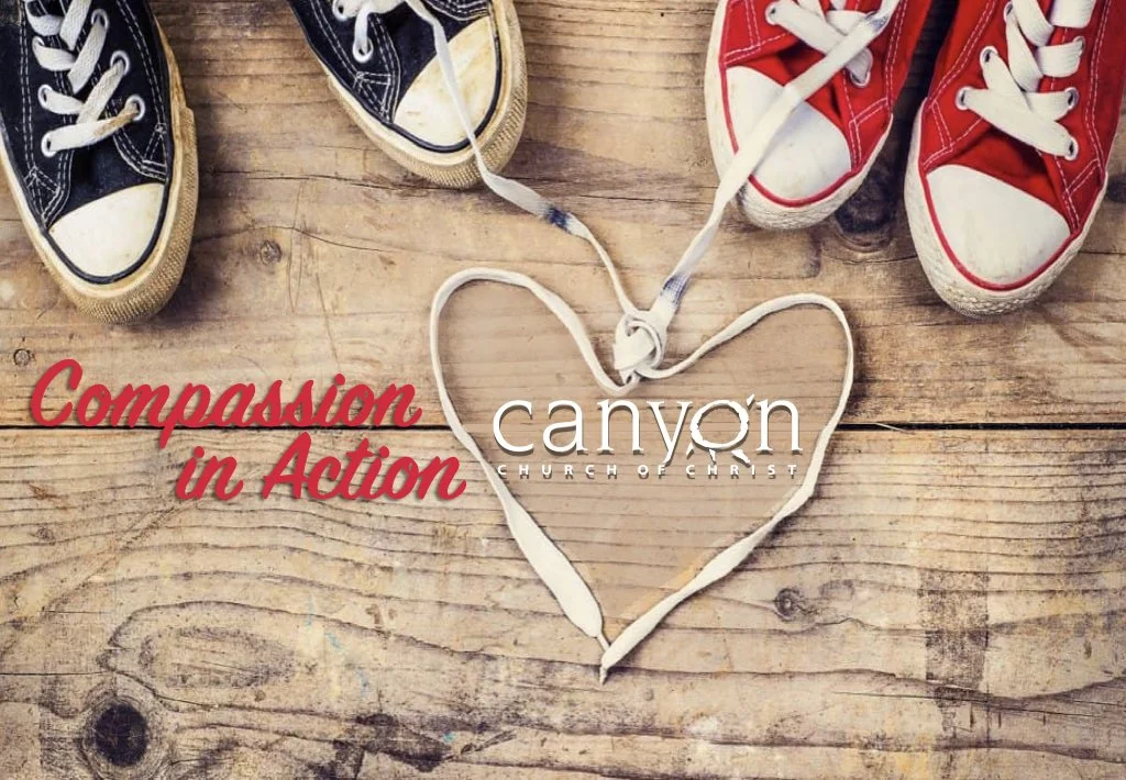 Canyon's "Compassion in Action" Fundraiser Event