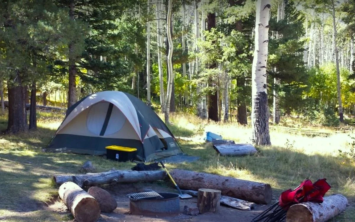 Youth - Camping Trip