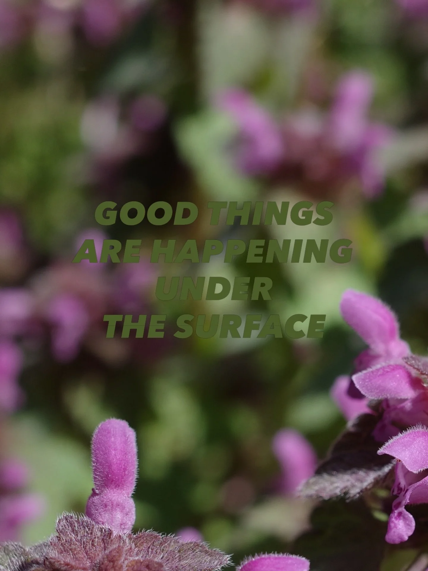 You&rsquo;ve tended to the soil. The seeds are coming up.

What I get to witness in this work&mdash;consistently, and never lightly&mdash;is people creating genuine change through their own determination and belief. Not just understanding what&rsquo;