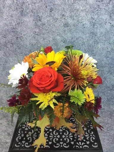 photo_2019-11-23_06-53-44.webp