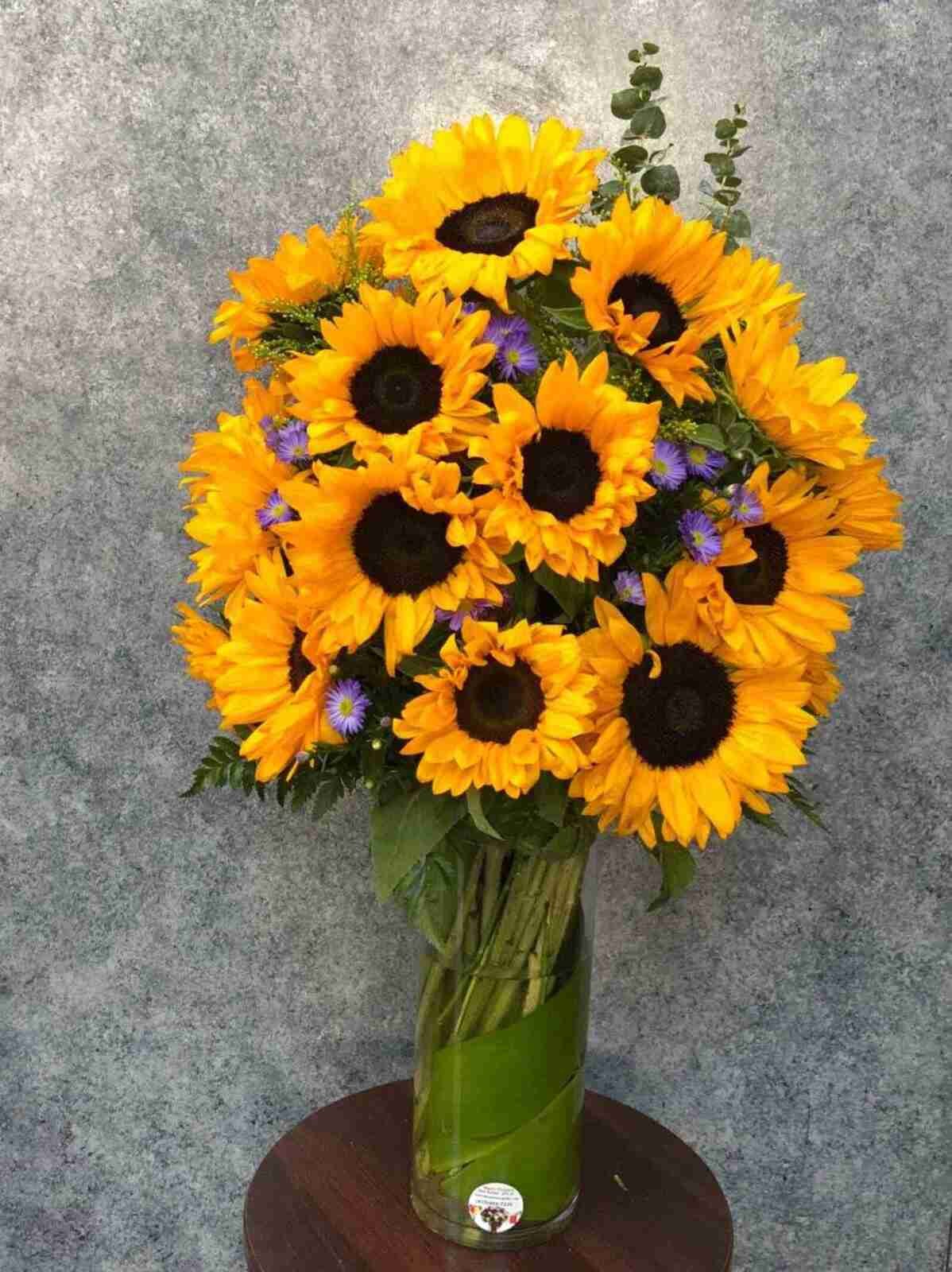 Sunny Sunflower