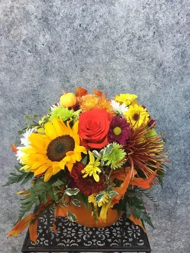photo_2019-11-23_06-58-52.webp