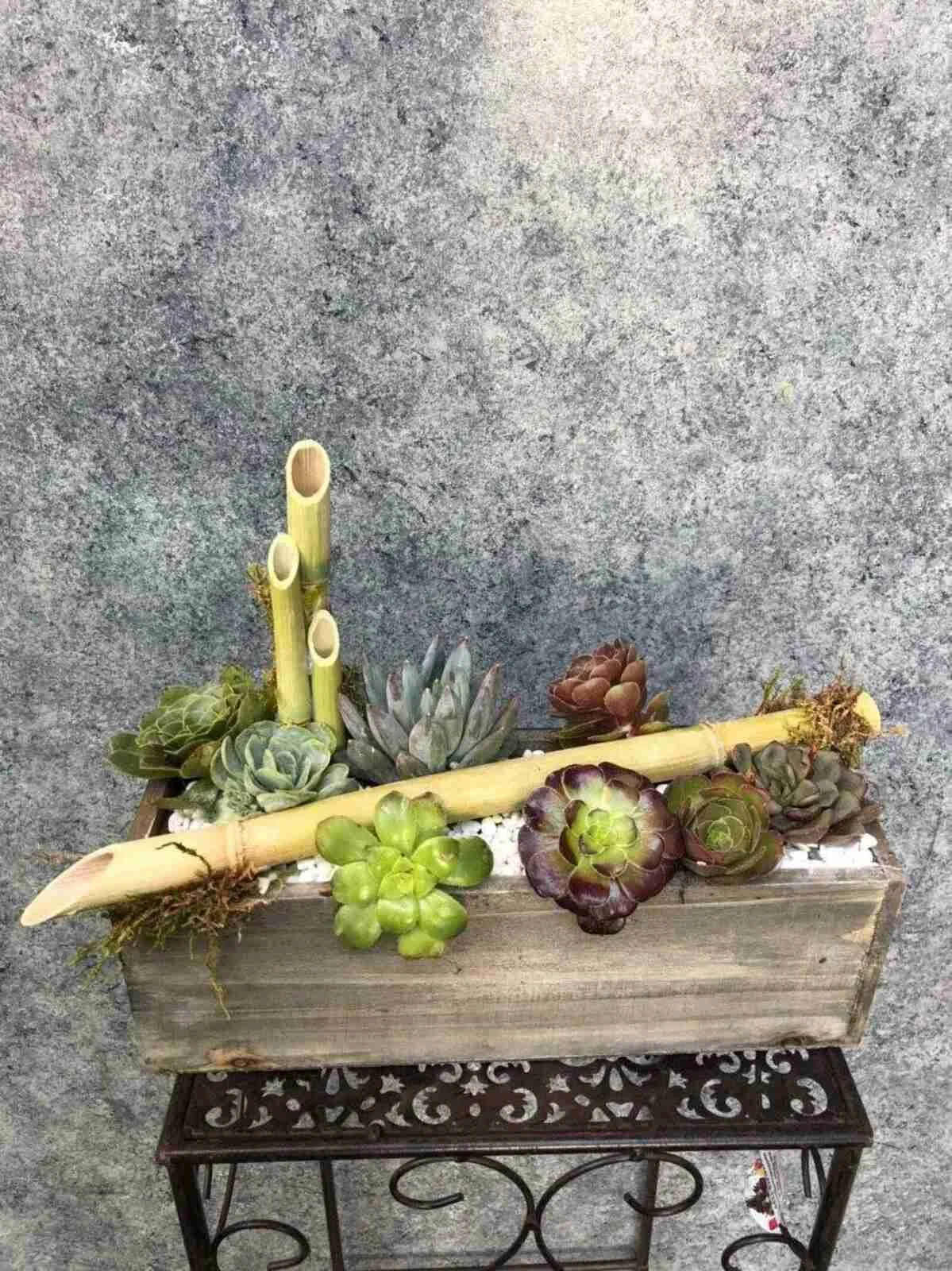 succulent (11).jpg