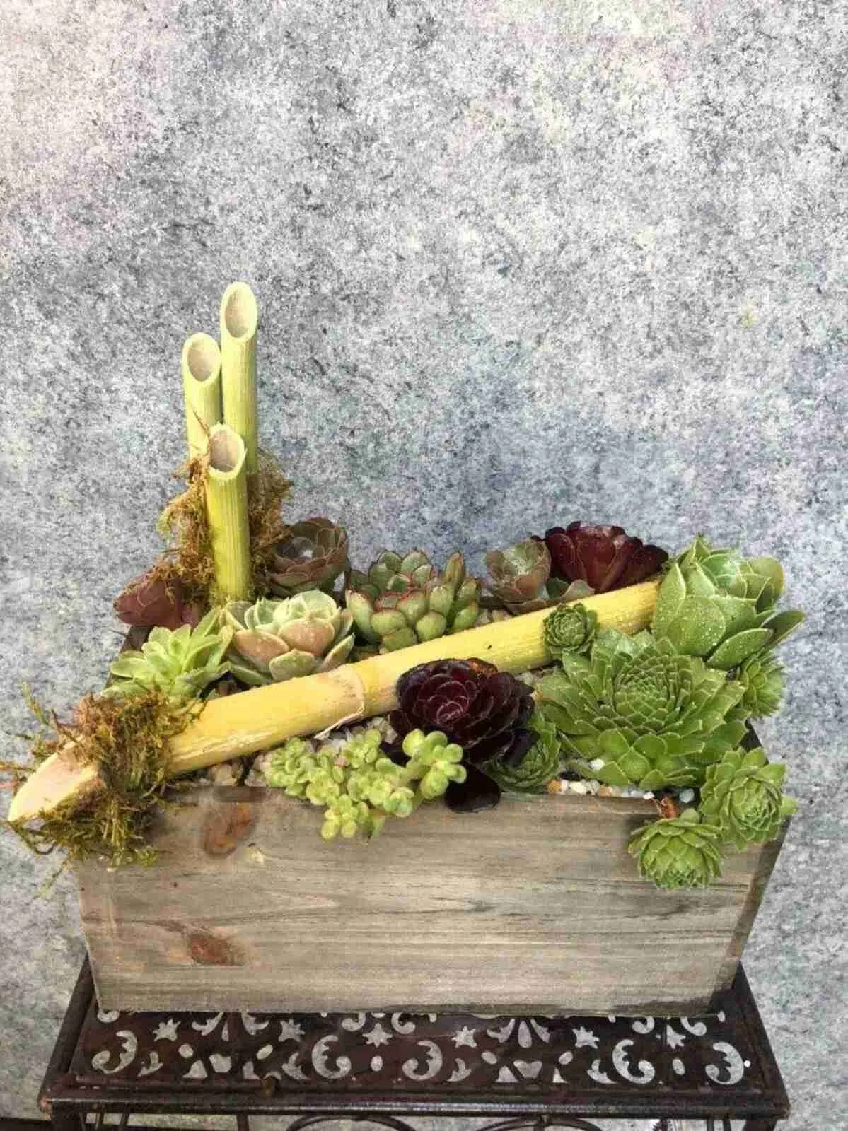 succulent (6).jpg