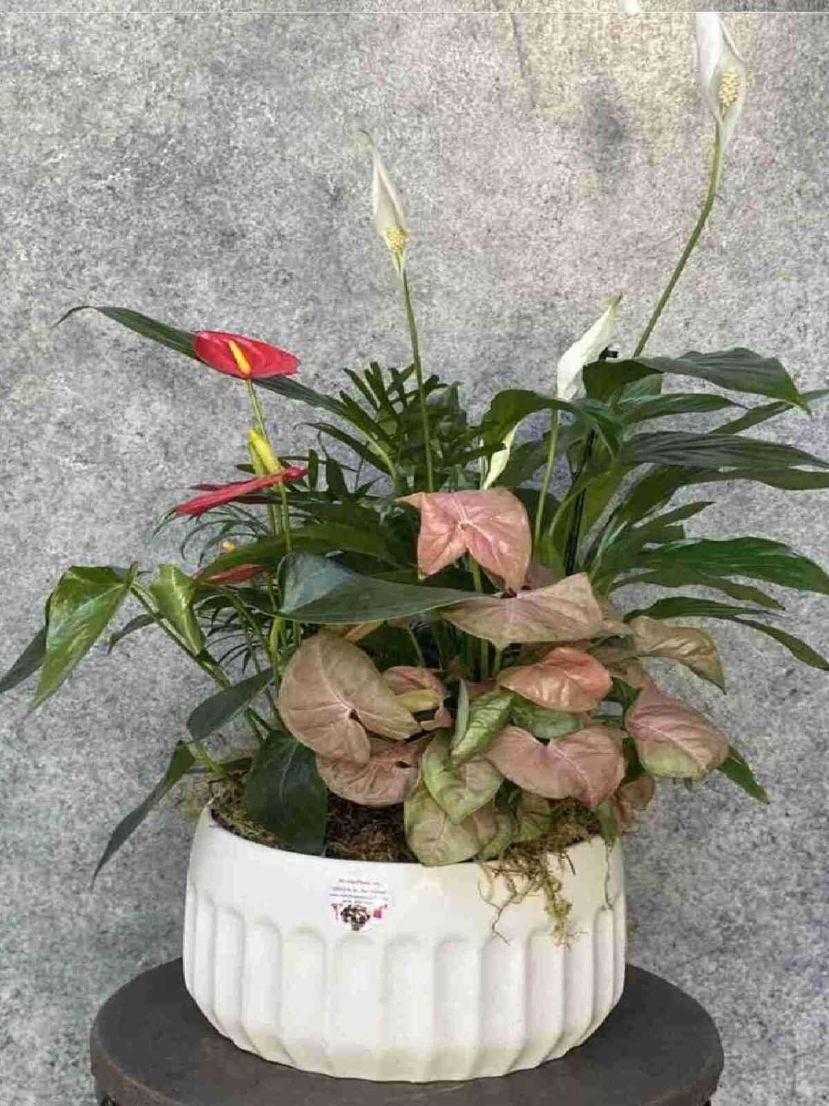 European Blooming Garden