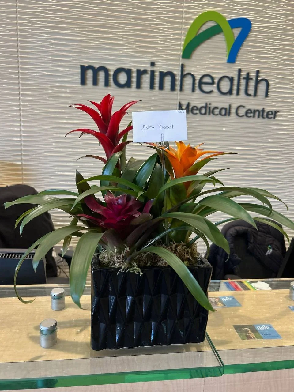 Fresh Flower Delivery to Marin General Hospital