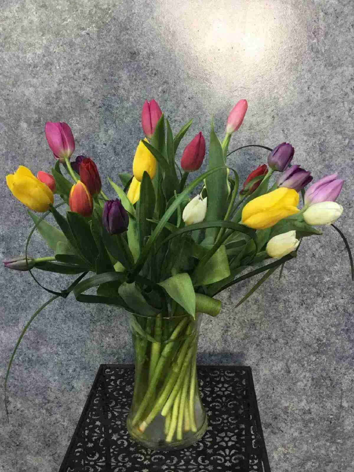 Tulip Symphony