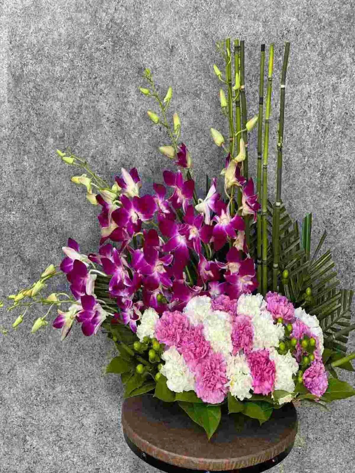 Zen Artistry Orchids