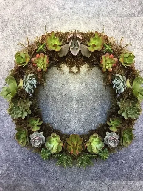 succulent+wreath11.webp