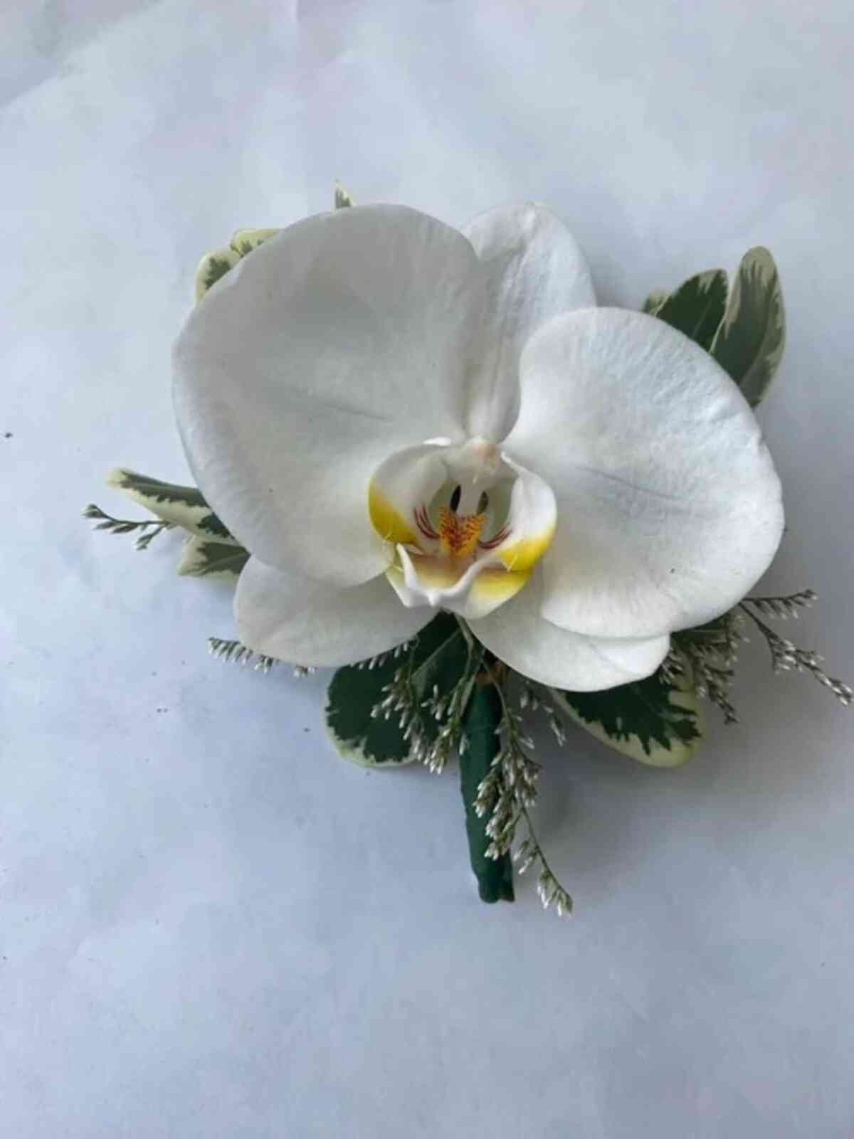 Orchidia Boutonniere