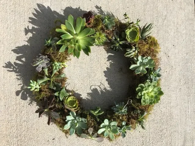 succulent+wreath10.webp
