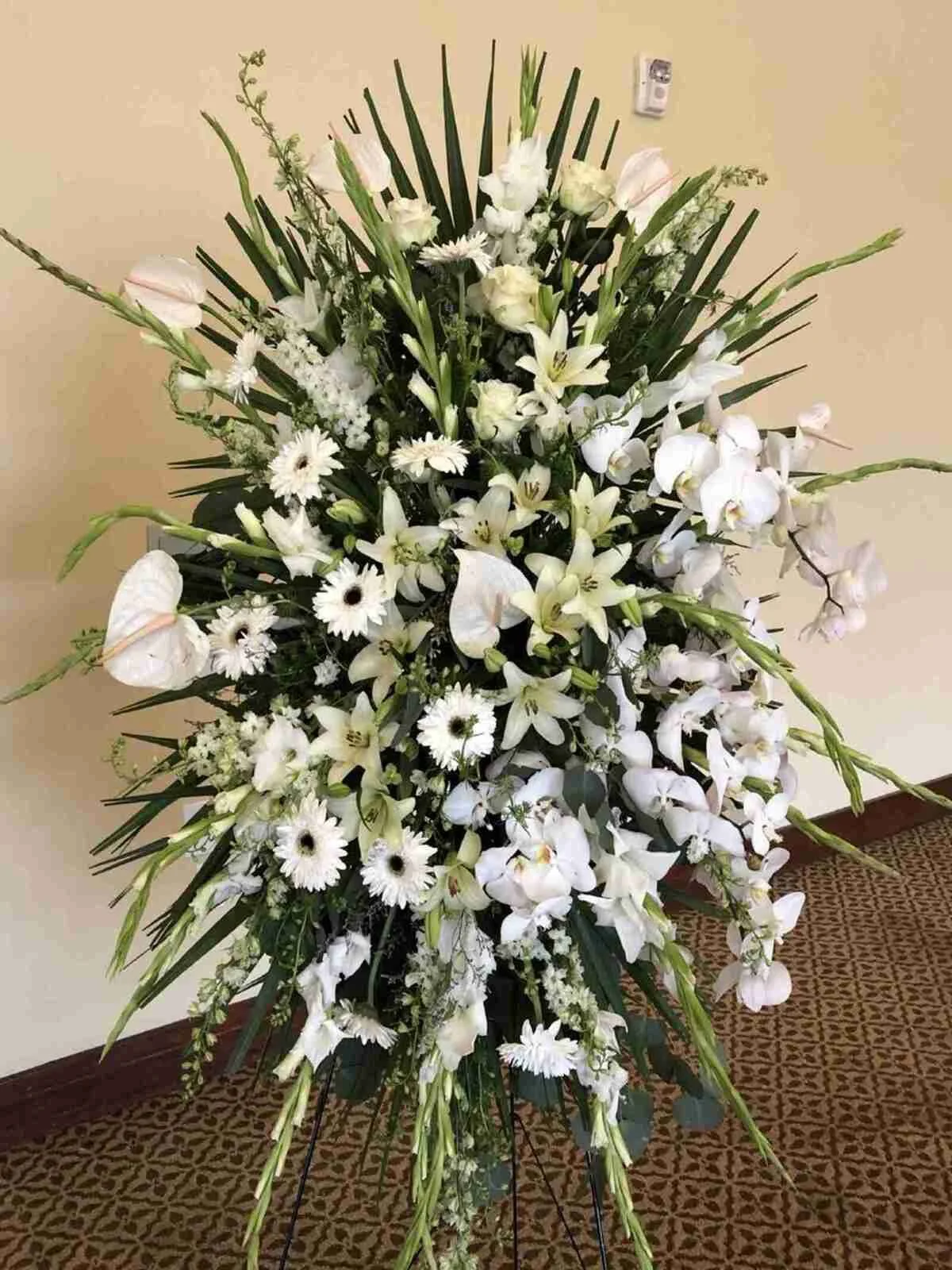 White Sympathy Spray