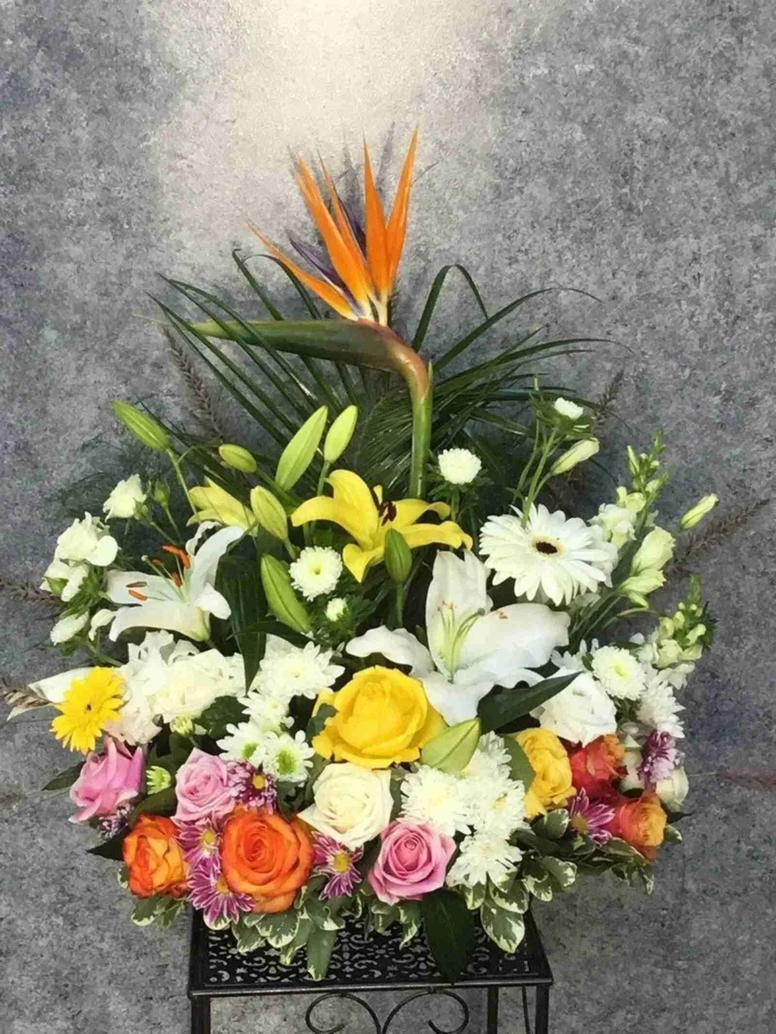 Celebrate New Life