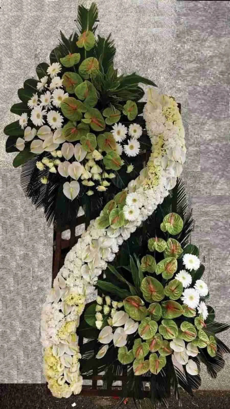 Spectacular Sympathy Spray