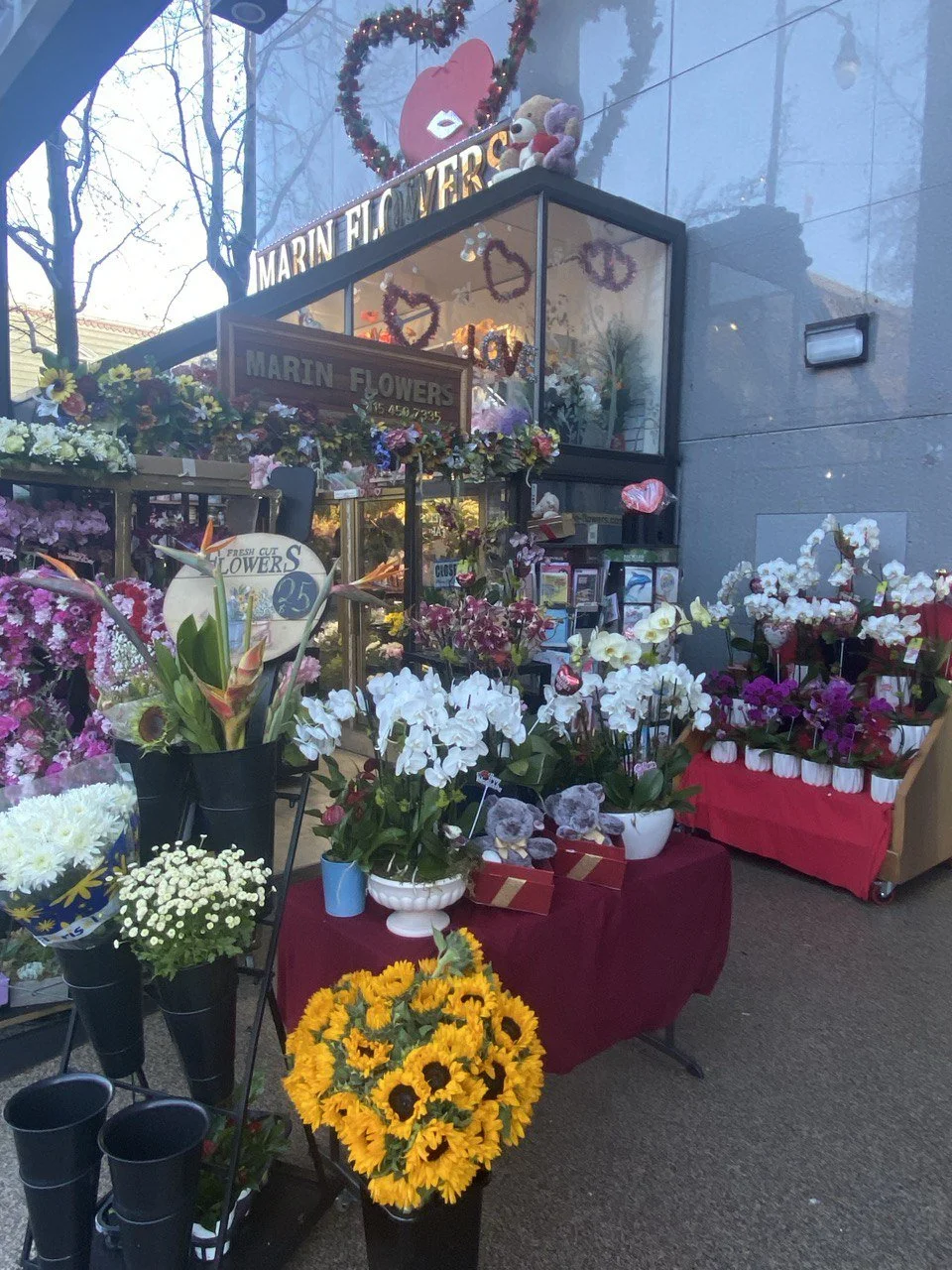 A flower shop with various colorful flowers including sunflowers, orchids, and chrysanthemums on display outside. Decorations include a heart-shaped wreath with a lipstick cutout, stuffed animals, and Valentine's Day themed items. The shop sign reads 'Marin Flowers' with a phone number. The scene appears to be set on a sidewalk near a building with reflective windows and leafless trees.