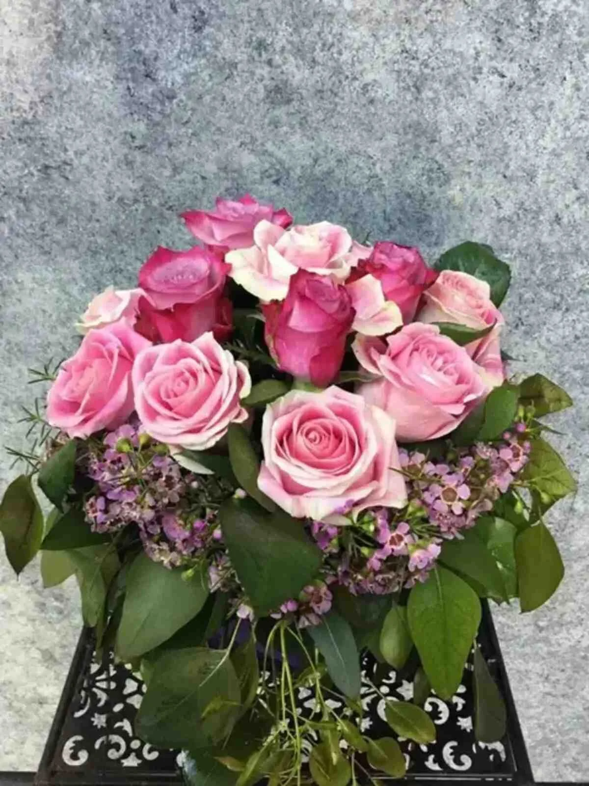 Morning Melody Roses