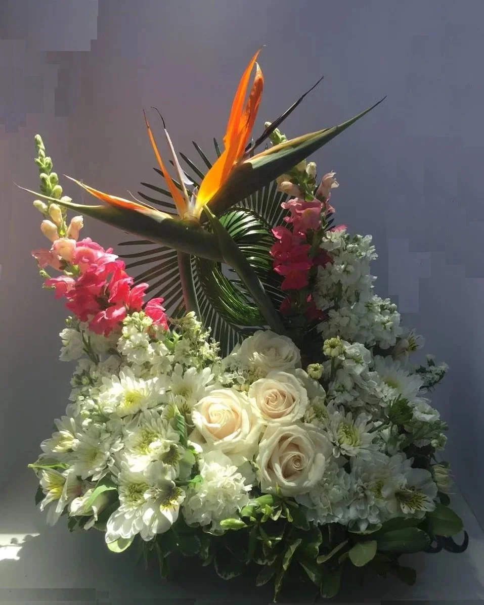 Paradise in Blooms