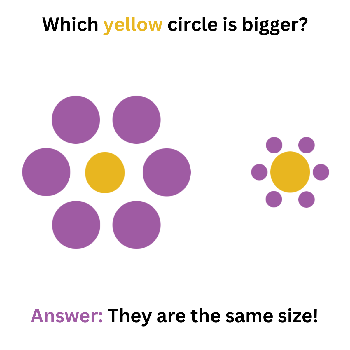 How Your Perception May Be Wrong When Communicating
