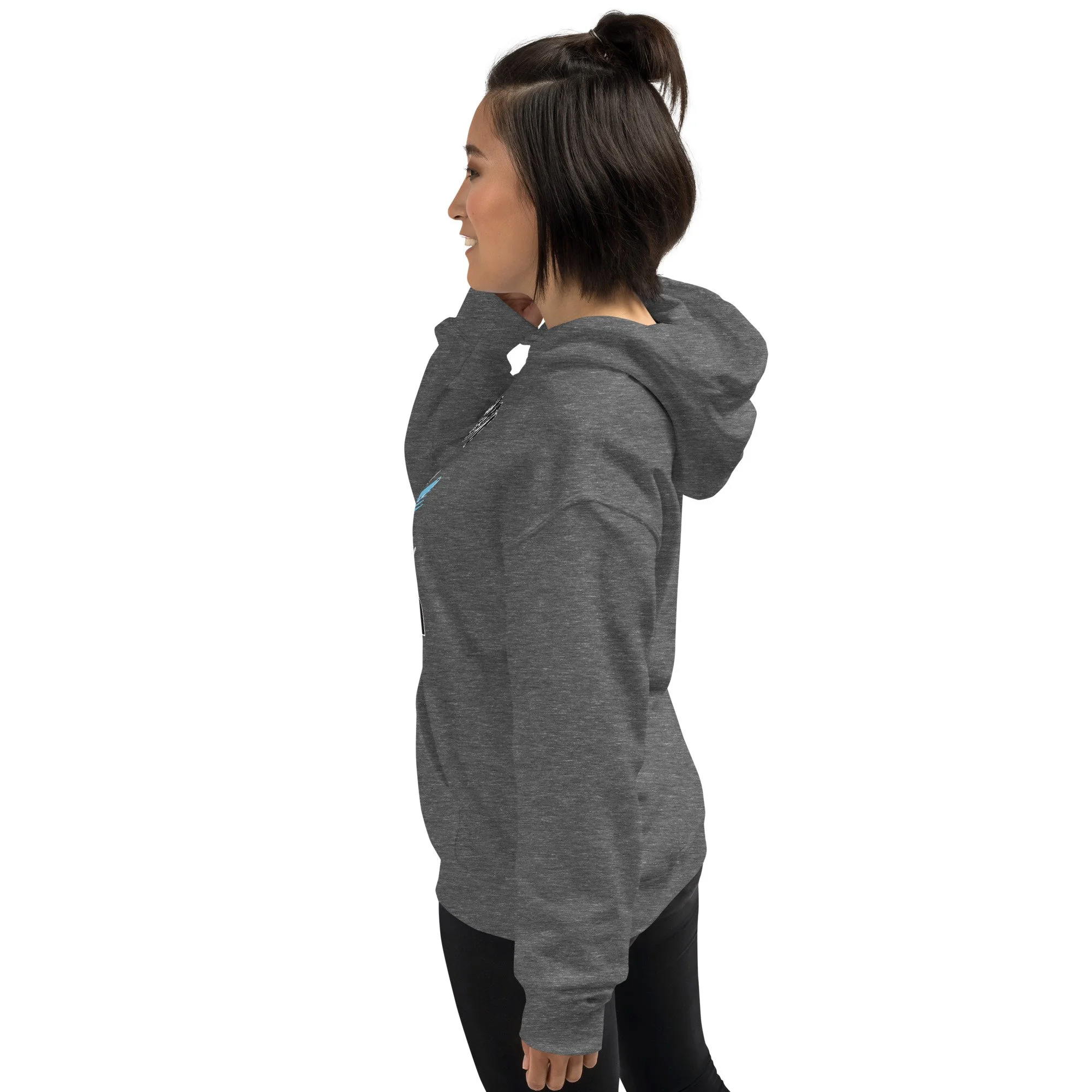 unisex-heavy-blend-hoodie-graphite-heather-left-67843a8ca3b35.jpg