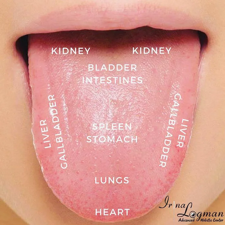 what-do-liver-lips-mean-lipstutorial