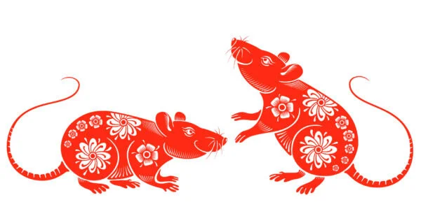 2020 Year of the Rat